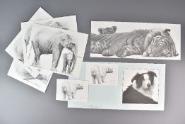 Gary Hodges Wildlife Prints