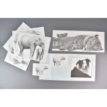 Gary Hodges Wildlife Prints