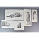 Five Limited Edition Pencil Signed Lithograph Prints by David Dancey-Wood