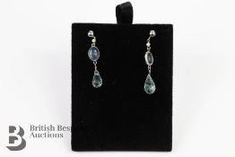 Pair of White Gold Earrings