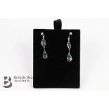 Pair of White Gold Earrings