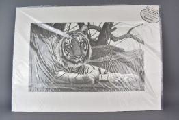Two Clive Meredith Limited Edition Wild Cat Prints