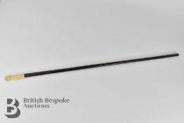 19th Century Walking Cane