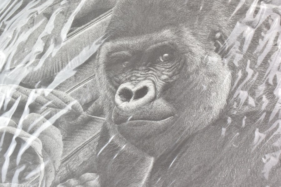 Clive Meredith Limited Edition Print - Silverback - Image 2 of 4