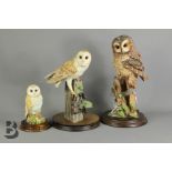 Border Fine Arts - Owls and Leonard Collection Owl