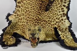 Early 20th Century Leopard Skin