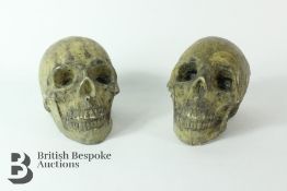 Two Stone Human Skulls