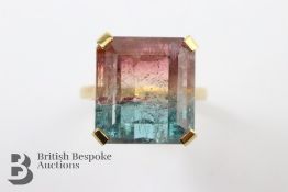 18ct Yellow Gold Fancy Bi-Colour Tourmaline Dress Ring