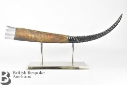 Trophy Antelope Horn