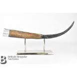 Trophy Antelope Horn