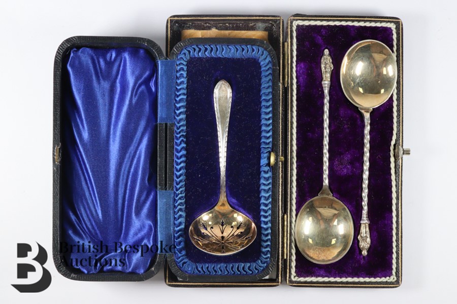 Silver Sifter Spoon