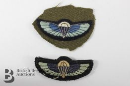 Two SAS Paratroopers Cloth Wings