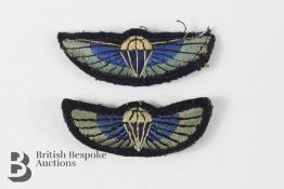 Two SAS Paratroopers Cloth Wings