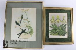 Iconography of Orchids Coloured Plates