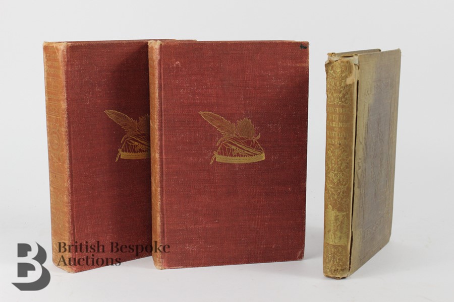 The League of the Iroquois 2 Vols 1901 and Report Indian Collection in Regent University 1850 - Image 29 of 31