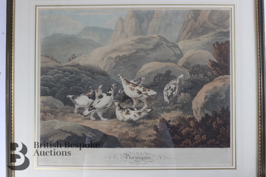 After Philip Reinagle A.R.A 19th Century Coloured Print - Image 2 of 4