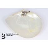 Elegant Mother of Pearl Shell Dish