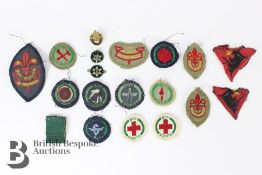 Boy Scout Skills Badges