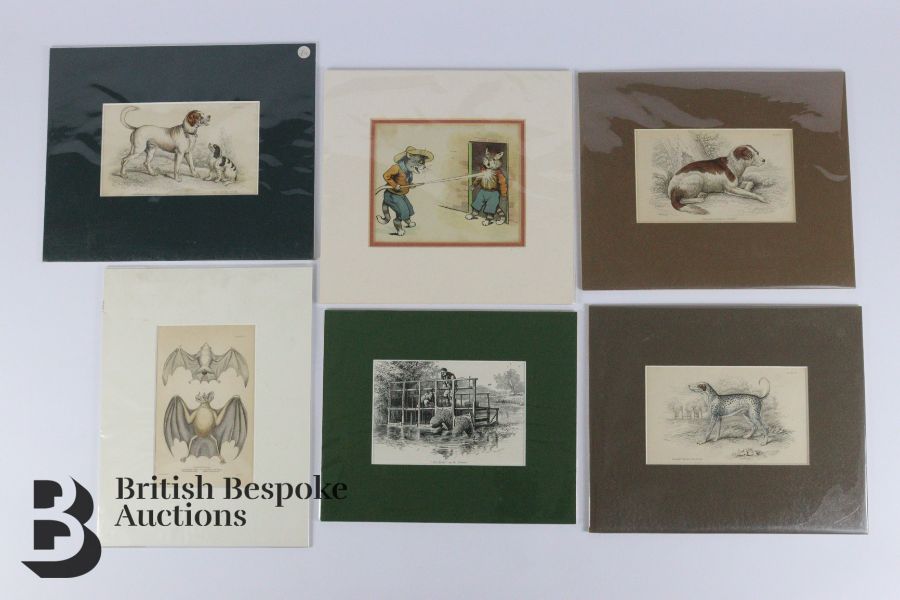 Quantity of Mounted Book Plates - Image 2 of 10