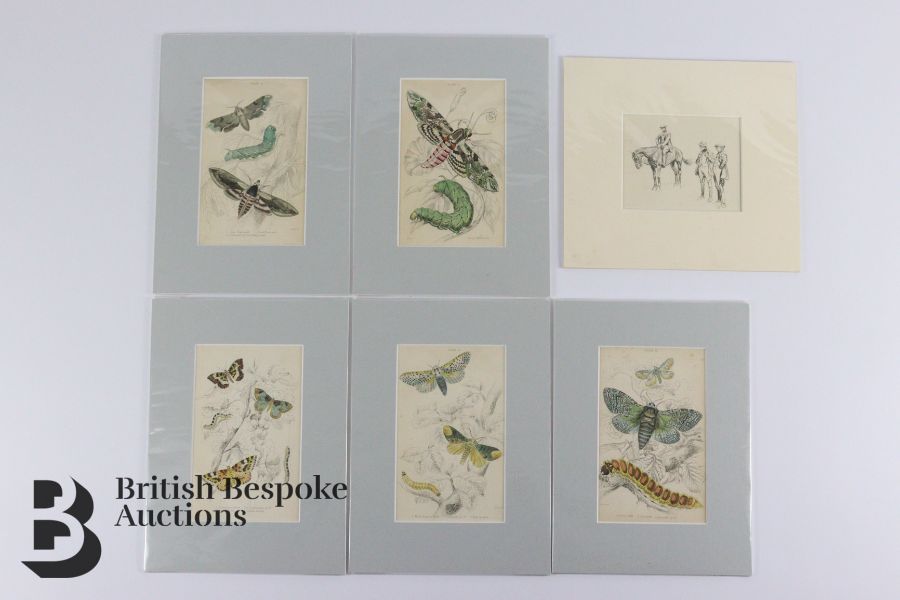 Quantity of Mounted Book Plates - Image 6 of 10