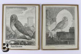 Pair of 18th Century Engravings