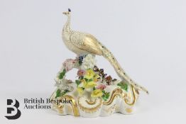 Derby Porcelain Peacock