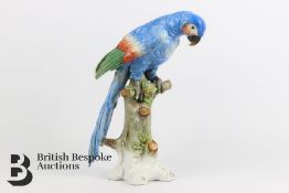 Continental Porcelain Parrot