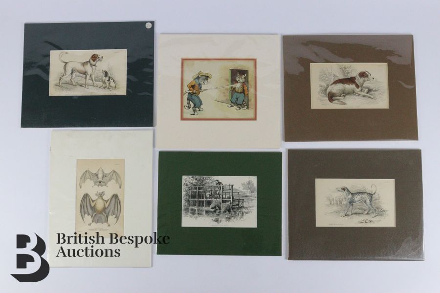 Quantity of Mounted Book Plates - Image 7 of 10