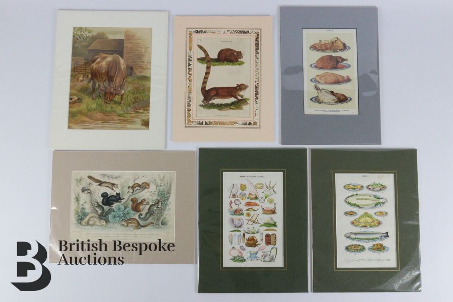 Quantity of Mounted Book Plates - Image 8 of 10