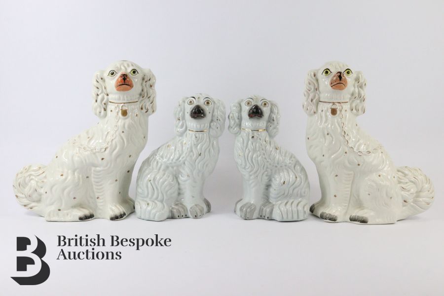 Staffordshire Flat Back Spaniels