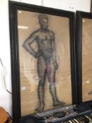 A FRAMED AND GLAZED CHALK PAINTING OF A NUDE FIGURE 135 X 86CM