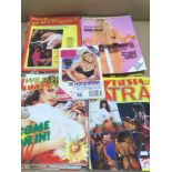 A QUANTITY OF ADULT MAGAZINES, FIESTA, PARADE, RUSTLER, AND MORE