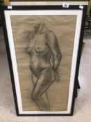 A FRAMED CHARCOAL LIFE DRAWING OF A NUDE LADY 56 X 100