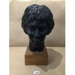 A LARGE SCULPTURE OF A HEAD ON A WOODEN BASE, NAME OR MAKERS MARK RUBBED APPROX 24CM X 45CM (£25 P&P