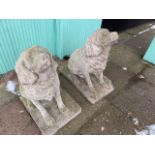 TWO CONCRETE DOGS A/F 51CM