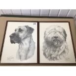 A PAIR OF FRAMED AND GLAZED PRINTS SIGNED MIKE SIBLEY (COPYRIGHTED), OF A GREAT DANE AND AN OLD
