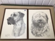 A PAIR OF FRAMED AND GLAZED PRINTS SIGNED MIKE SIBLEY (COPYRIGHTED), OF A GREAT DANE AND AN OLD