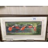 A FRAMED AND GLAZED WATERCOLOUR DEPICTING OF RED IBIS INDISTINCTLY SIGNED BY AUDREY POLLARD APPROX