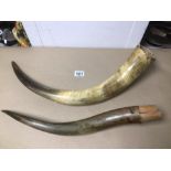 TWO LARGE EARLY VINTAGE HORNS A/F, LARGEST IS APPROX 54CM IN LENGTH