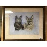 A FRAMED AND GLAZED WATERCOLOUR SIGNED JOSIE STEVENSON OF TWO SIAMESE CATS 56 X 47CM