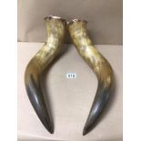 A LARGE MATCHING PAIR OF COW HORNS 47CM IN LENGTH