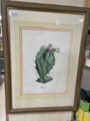 A FRAMED AND GLAZED FRENCH LITHOGRAPH OF A PRICKLY PEAR DESIGNED BY A. RICHARD