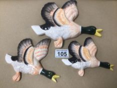 THREE PORCELAIN WALL MOUNTED FLYING DUCKS A/F LARGEST IS 23CM X 20CM