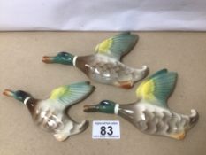 A SET OF THREE 1950S KEELE STREET POTTERY WALL MOUNTED FLYING DUCKS