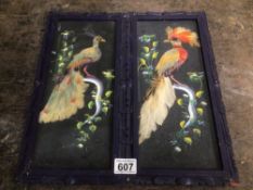 A PAIR OF FRAMED PAINTINGS OF BIRDS WITH REAL FEATHERS 39 X 19CM