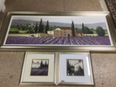 ONE OIL ON BOARD AND TWO PRINTS OF LAVENDER FIELDS BY SABRINA ROSCINO, LARGEST 136 X 59CM