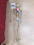 A LARGE PLASTIC SKELETON