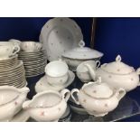 AN EXTENSIVE COLLECTION OF CZECHOSLOVAKIA CHINA DINNER AND TEA SERVICE