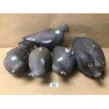 FOUR PLASTIC DECOY PIGEONS AND ONE DUCK LARGEST BEING 29CM IN LENGTH