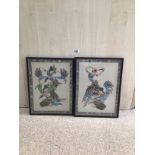 TWO FRAMED AND GLAZED PAINTINGS ON MATERIAL OF EASTERN GIRLS, 30 X 50CM